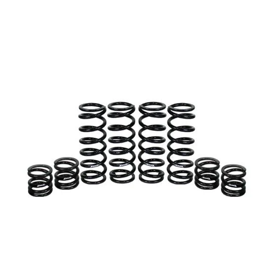 Polaris General 1000 Stage 1 Spring Kit W.E. Shock