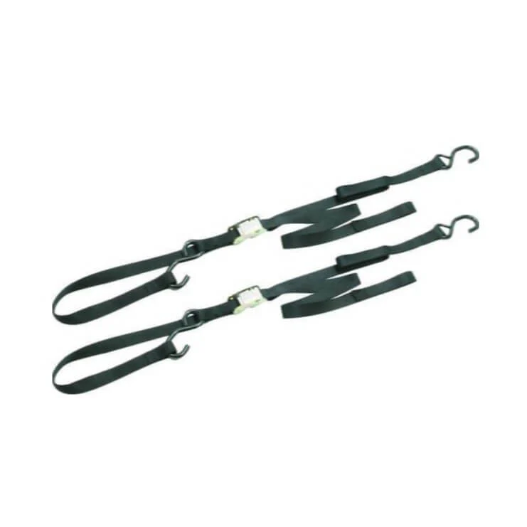 Ancra Cargo 69 x 1 Inch Integra Tie Down (2 Pack)