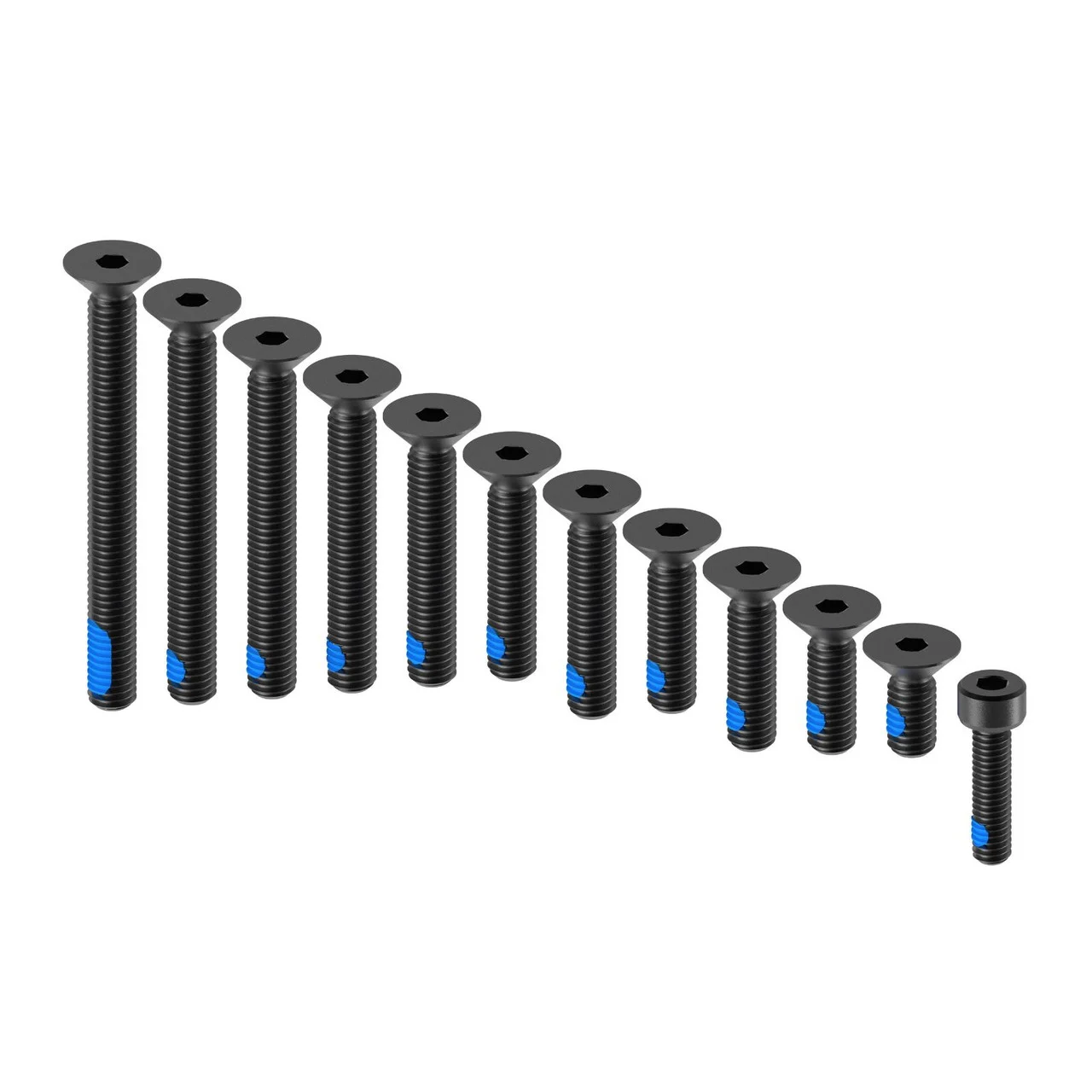 Quad Lock V2 Replacement Pro Screw Set